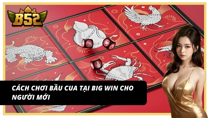 Trang chủ Bầu cua Big win